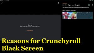 Reasons for Crunchyroll Black Screen
