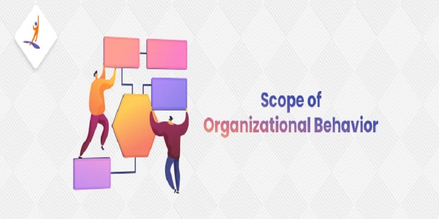 scope of organisational behaviour